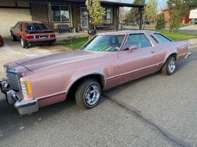 1977 Ford Thunderbird for sale in Michigan (ID-98501) 1977 Ford Thunderbird for sale in Michigan (ID-98501)