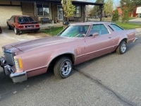 1977 Ford Thunderbird for sale in Michigan (ID-98501)