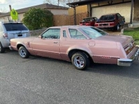 1977 Ford Thunderbird for sale in Michigan (ID-98501)