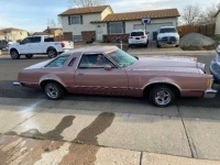 1977 Ford Thunderbird for sale in Michigan (ID-98501)