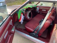 1977 Ford Thunderbird for sale in Michigan (ID-98501)