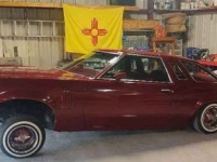 1977 Ford Thunderbird for sale in Michigan (ID-123783)