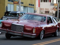 1977 Ford Thunderbird for sale in Michigan (ID-123783)