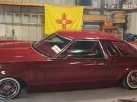 1977 Ford Thunderbird for sale in Michigan (ID-123783)
