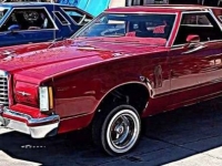 1977 Ford Thunderbird for sale in Michigan (ID-123783)
