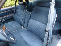 1977 Ford Thunderbird for sale in Michigan (ID-127357)