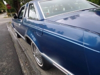 1977 Ford Thunderbird for sale in Michigan (ID-127357)