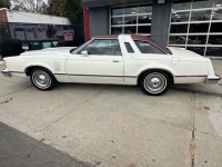 1977 Ford Thunderbird for sale in Michigan (ID-135484)