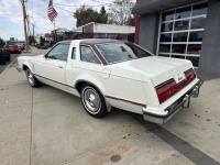 1977 Ford Thunderbird for sale in Michigan (ID-135484)