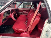 1977 Ford Thunderbird for sale in Michigan (ID-135484)