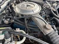 1977 Ford Thunderbird for sale in Michigan (ID-135484)