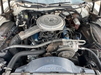 1977 Ford Thunderbird for sale in Michigan (ID-135484)
