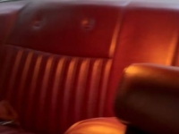 1977 Ford Thunderbird for sale in Michigan (ID-146451)