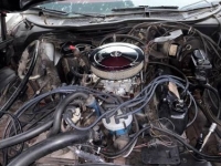 1977 Ford Thunderbird for sale in Michigan (ID-146451)