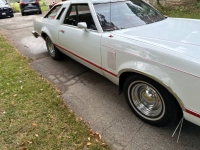 1977 Ford Thunderbird for sale in Michigan (ID-146451)