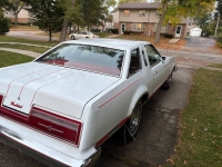 1977 Ford Thunderbird for sale in Michigan (ID-146451)
