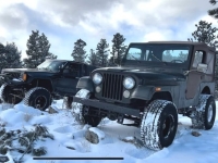 1977 Jeep CJ5 for sale in Michigan (ID-131871)