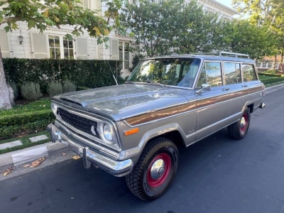 1977 Jeep Grand Wagoneer for sale in Michigan