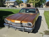 1977 Mercury Comet for sale in Michigan (ID-120045)