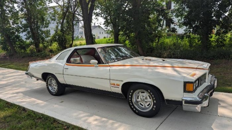 1977 Pontiac Can Am for sale in Michigan (ID-119228) 1977 Pontiac Can Am for sale in Michigan (ID-119228)