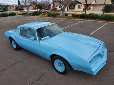 1977 Pontiac Firebird for sale