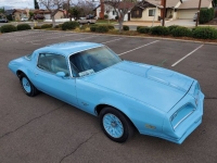 1977 Pontiac Firebird for sale in Michigan (ID-96508)