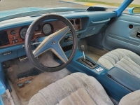 1977 Pontiac Firebird for sale in Michigan (ID-96508)