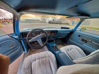 1977 Pontiac Firebird for sale in Michigan (ID-96508)