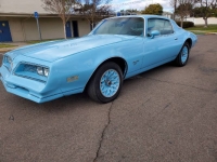 1977 Pontiac Firebird for sale in Michigan (ID-96508)