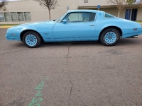 1977 Pontiac Firebird for sale in Michigan (ID-96508)