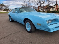 1977 Pontiac Firebird for sale in Michigan (ID-96508)