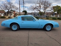 1977 Pontiac Firebird for sale in Michigan (ID-96508)