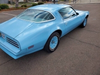 1977 Pontiac Firebird for sale in Michigan (ID-96508)