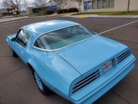 1977 Pontiac Firebird for sale in Michigan (ID-96508)