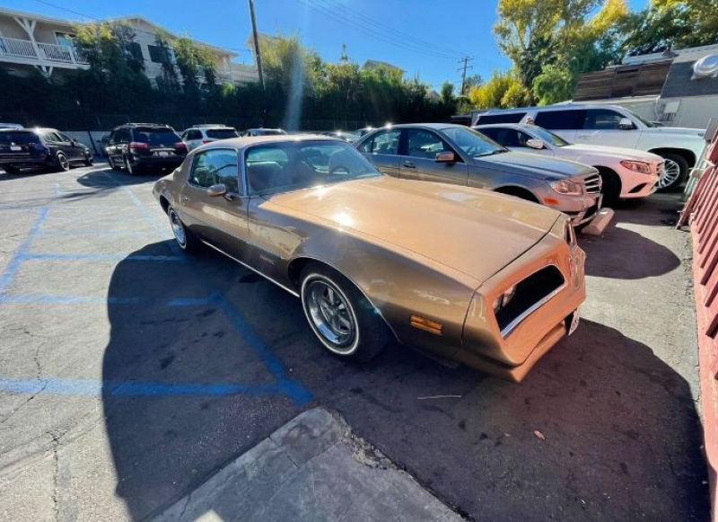 1977 Pontiac Firebird for sale in Michigan (ID-96591)