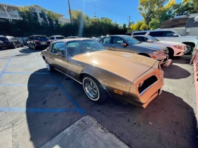1977 Pontiac Firebird for sale