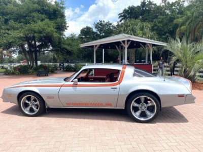 1977 Pontiac Firebird for sale