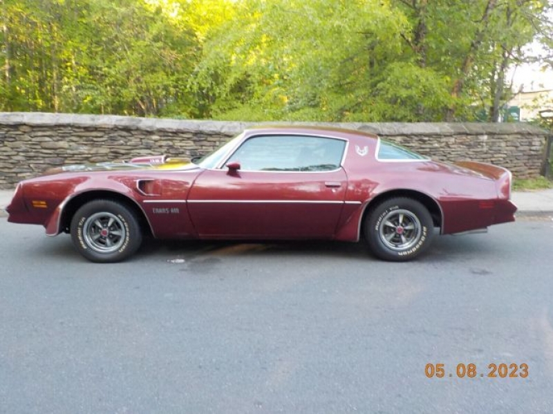 1977 Pontiac Firebird for sale in Michigan (ID-117224)