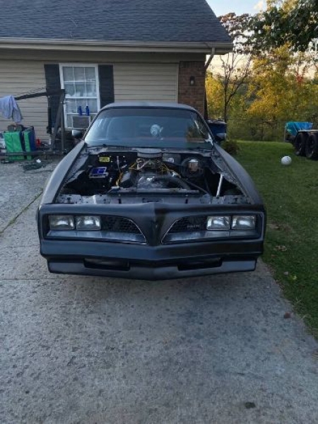 1977 Pontiac Firebird for sale in Michigan (ID-124178)