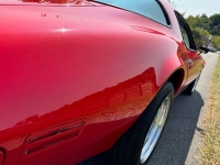 1977 Pontiac Firebird for sale in Addison, Illinois (ID-134049)