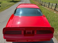 1977 Pontiac Firebird for sale in Addison, Illinois (ID-134049)