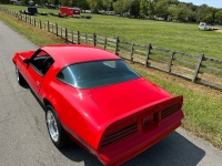 1977 Pontiac Firebird for sale in Addison, Illinois (ID-134049)