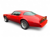 1977 Pontiac Firebird for sale in Addison, Illinois (ID-142312)