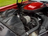 1977 Pontiac Firebird for sale in Addison, Illinois (ID-142312)