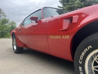 1977 Pontiac Firebird for sale in Addison, Illinois (ID-142312)