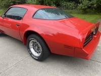 1977 Pontiac Firebird for sale in Addison, Illinois (ID-142312)