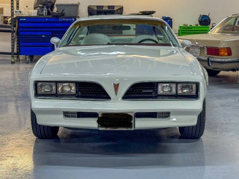1977 Pontiac Firebird for sale in Michigan (ID-146706)