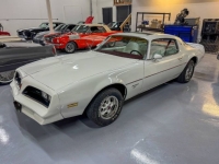 1977 Pontiac Firebird for sale in Michigan (ID-146706)
