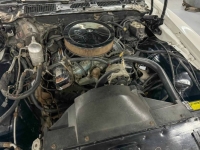 1977 Pontiac Firebird for sale in Michigan (ID-146706)