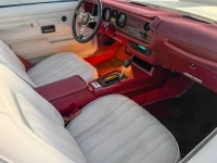 1977 Pontiac Firebird for sale in Michigan (ID-146706)